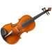 Viola da gamba: description of the instrument, composition, history, varieties