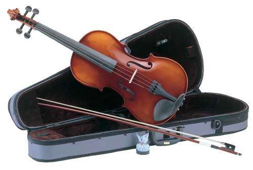 Viola or violin?