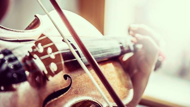Musical instrument violin