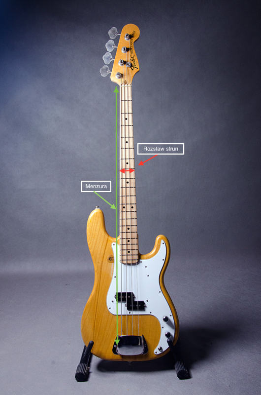 What to look for when buying a bass guitar?
