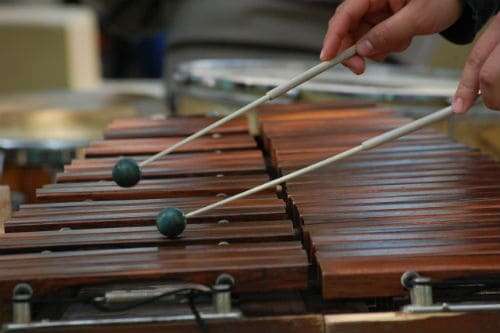 Xylophone: description of the instrument, sound, composition, varieties, use