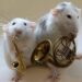 Animals and music: the influence of music on animals, animals with an ear for music