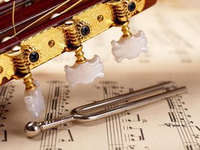 Diagnosis of childrens musical abilities: how not to make a mistake?